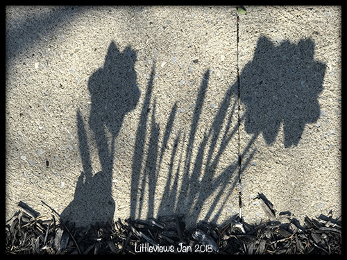 Learn how to take photos of shadows